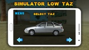 Simulator Low Taz screenshot 3