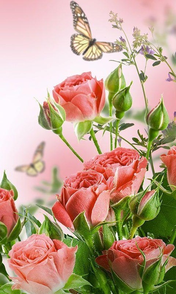 Flowers Live Wallpaper for Android Download the APK from Uptodown