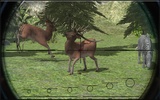 Animal Jungle Hunt Africa screenshot 4