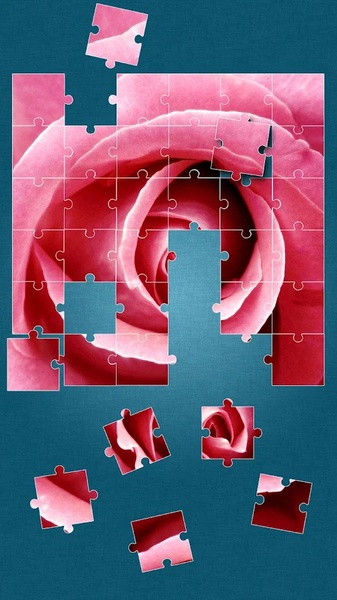 Roses Jigsaw Puzzle - Preview 9