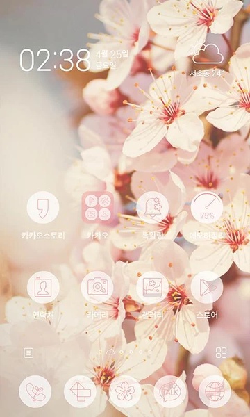 Cherry blossoms - Preview 4