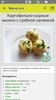 Картошка – рецепты блюд с фото screenshot 9