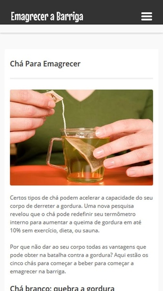 Emagrecer a Barriga - Preview 2