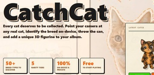 CatchCat featured image