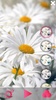 Spring Flowers Live Wallpaper screenshot 3
