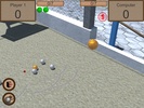 3D Bocce Ball: Hybrid Bowling & Curling Simulator screenshot 3