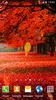Autumn Forest Live Wallpaper screenshot 8