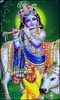 Lord Krishna Photos Wallpaper screenshot 5