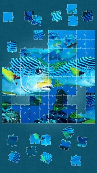 Under the Sea Jigsaw Puzzles - Preview 4