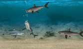 Fish Farm screenshot 8