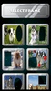 Dog Photo Frames screenshot 6