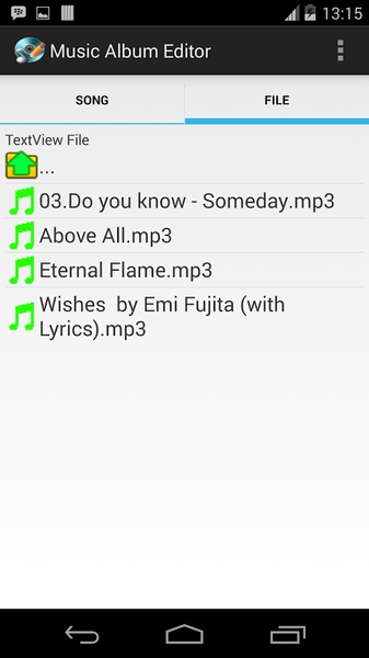 Music Album Editor - Preview 1