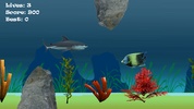 Angry Shark Adventure Game screenshot 5