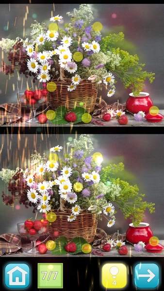 Lemon - Find Differences - Preview 6