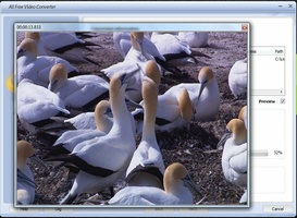All Free Video Converter screenshot 7