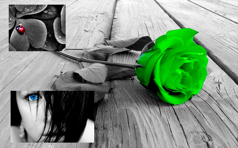 Photo Pic Arts - Preview 3