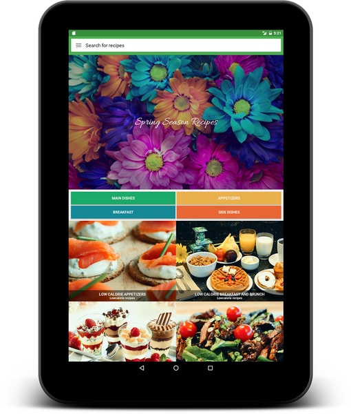 Low Calorie Recipes - Preview 3