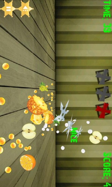 Fruit Shoot Ninja - Preview 2