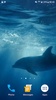 Dolphins Underwater Video Live Wallpaper screenshot 5