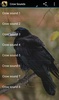 Crow Sounds screenshot 1