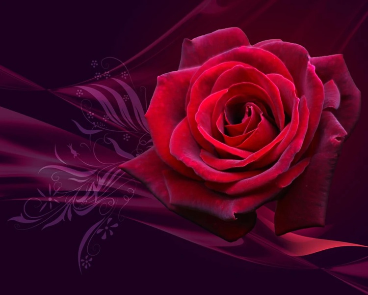 Love Romantic Images - Preview 3
