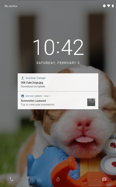 Cute Dogs Wallpapers - Preview 15