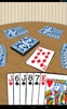 CrazyEights screenshot 14