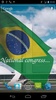 Brazil Flag screenshot 2