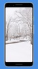 Snow Wallpapers & Background screenshot 5