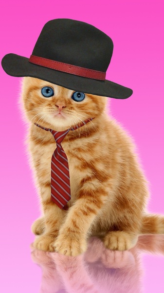 Sweet Cat and Caps - Preview 4