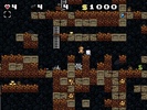 Spelunky SD screenshot 5