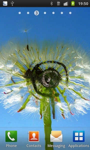 Flowers Reflection Free - Preview 7