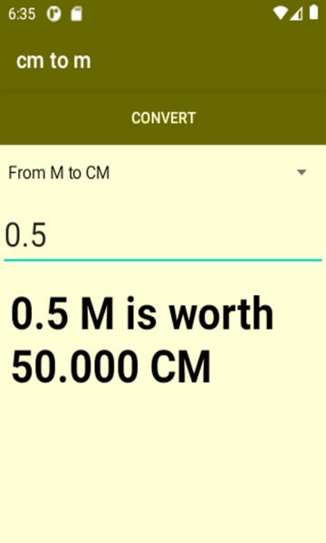 cm to m converter - Preview 2
