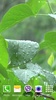Rainstorm Video Live Wallpaper screenshot 8