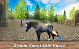 🐴 Horse Stable: Herd Care Simulator screenshot 5