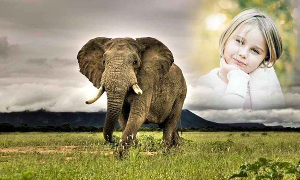 Animal Photo Frame - Preview 4
