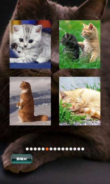 Cat Puzzles - Preview 9