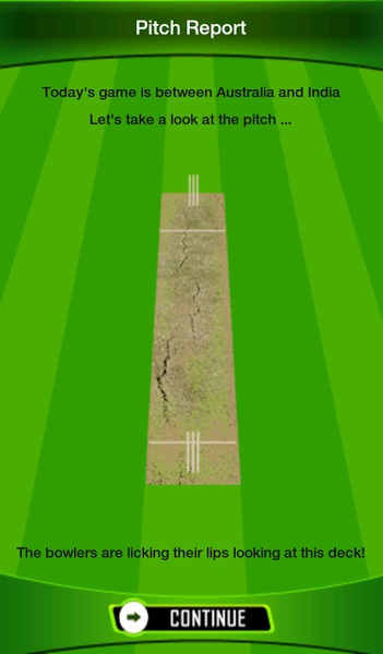 The Best Cricket Game Ever - Preview 6