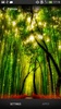 Forest Live Wallpaper screenshot 2