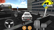 Car Parking Race 3D screenshot 3