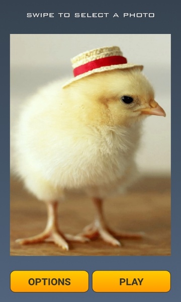 Cute Chicks Puzzle - Preview 8