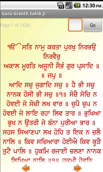 Guru Granth Sahib Ji - Preview 3