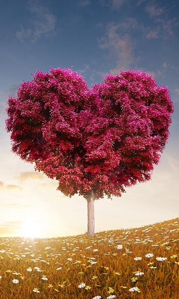 Love Tree Live Wallpaper - Preview 4