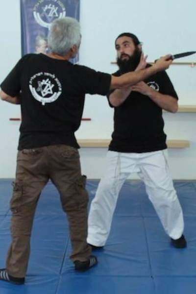 Krav Maga Free - Preview 1