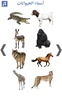 تعليم أسماء الحيوانات screenshot 4