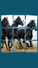 Cavalli Giochi Di Puzzle screenshot 1