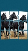 Cheval Jeux de Puzzle screenshot 1