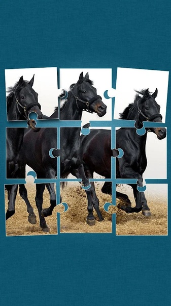 Horses Jigsaw Puzzle Game - Preview 1