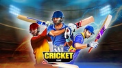 World T20 Cricket League screenshot 5