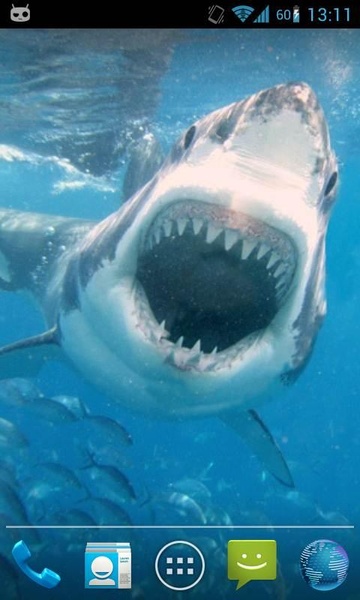 Magic Touch Shark Attack - Preview 3
